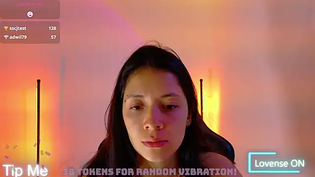 Sarasavage webcam
