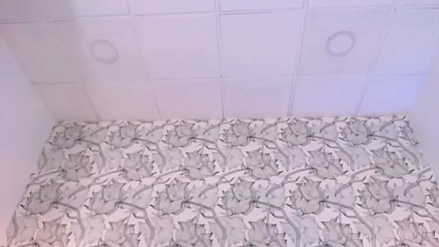 Venusandrea29 webcam