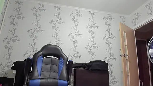 SanFrantsisko webcam