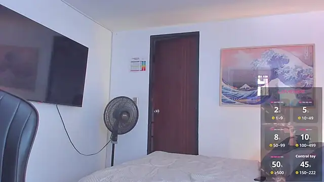 RJBarto webcam
