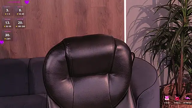 KyomiVelvet webcam