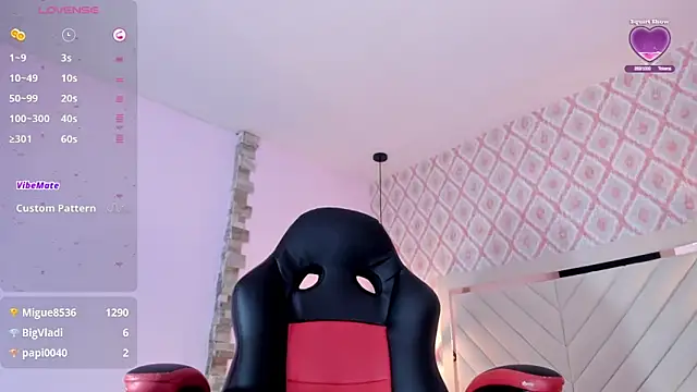 clarisKlein webcam