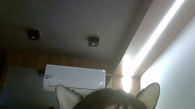 SkinnyKitten webcam