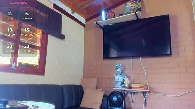fitnolan webcam