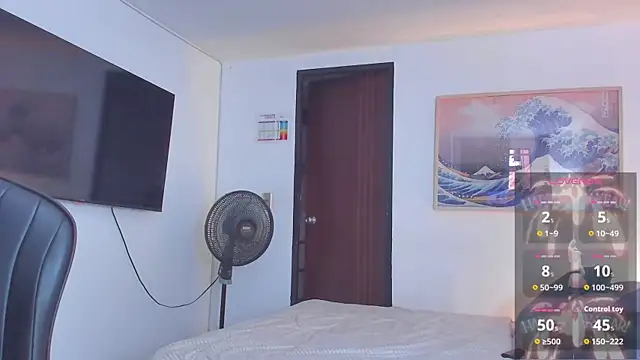 RJBarto webcam