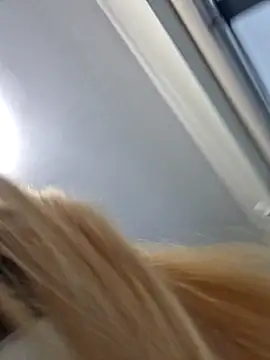 Honeycitabomnita webcam