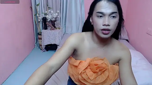 Herbielustts webcam