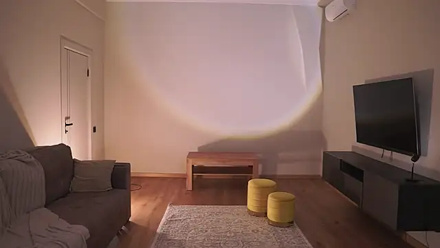 AdaBell webcam