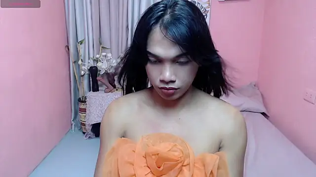 Herbielustts webcam