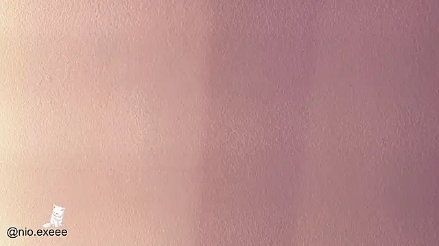 Nioki_ webcam