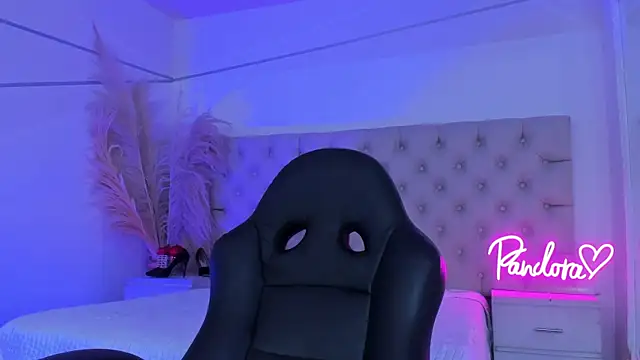 PandoraRider webcam