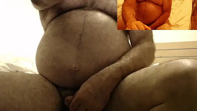 DadBearBi webcam