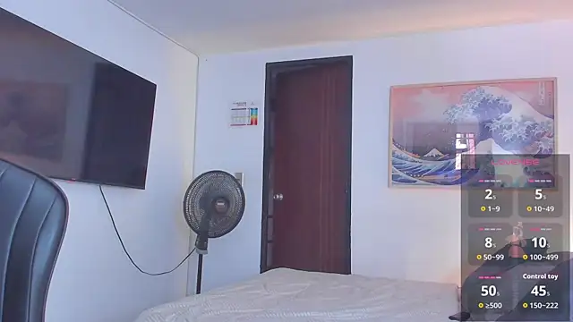 RJBarto webcam