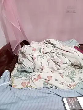 Phoebe-e webcam