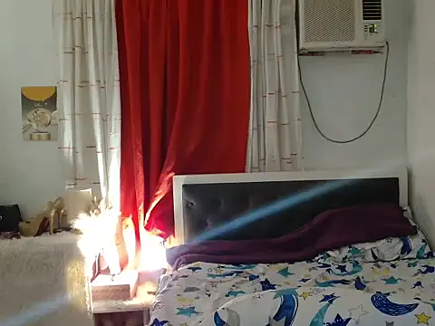 Sileves webcam