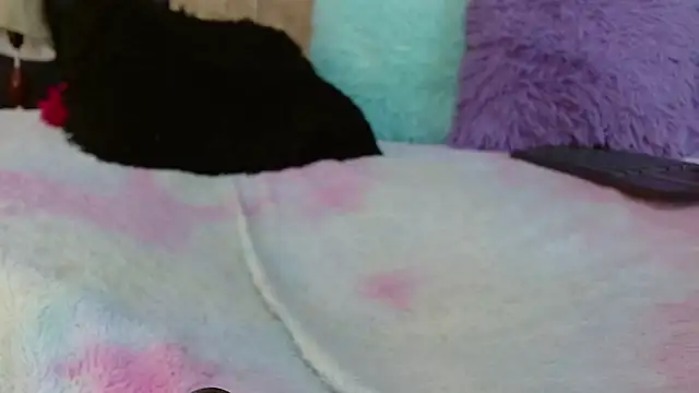 Sofia_DirtyAnal webcam