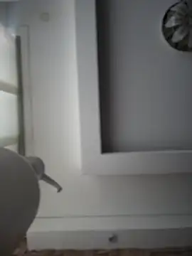 Saracalderon webcam
