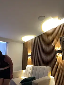 Dirty__Vanell webcam