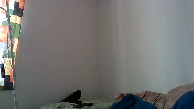 Kaappi1967 webcam
