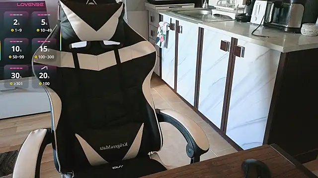 RyanStorm_ webcam