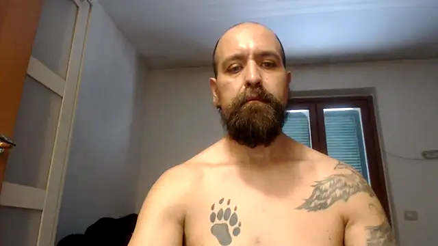 AMIRDIB2025