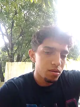 Noscay webcam