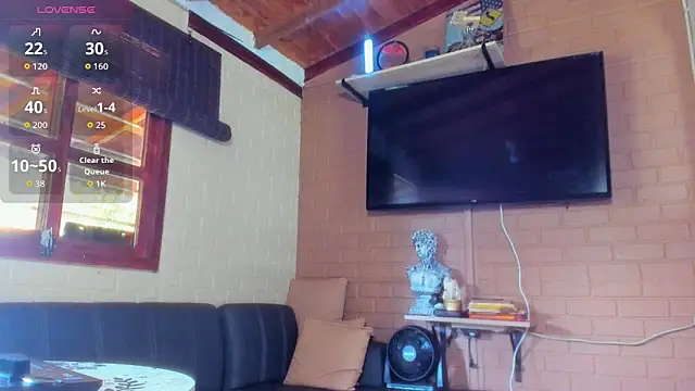 fitnolan webcam