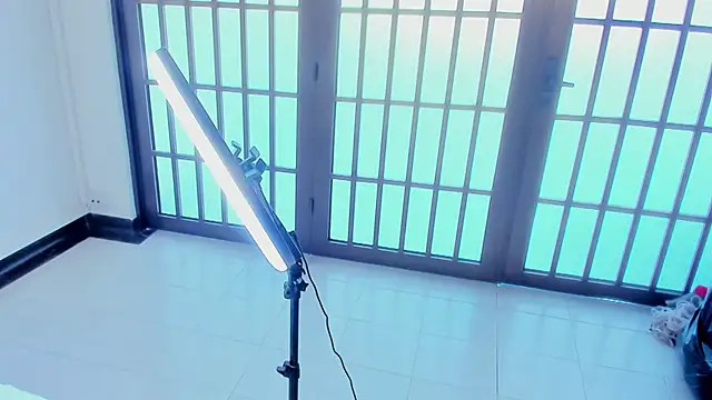 Arinafox_ webcam