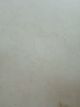 Lylan-6868 webcam