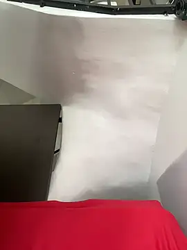 ELY_FE_ webcam