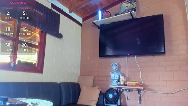 fitnolan webcam