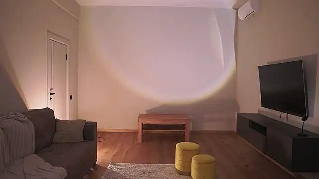 AdaBell webcam