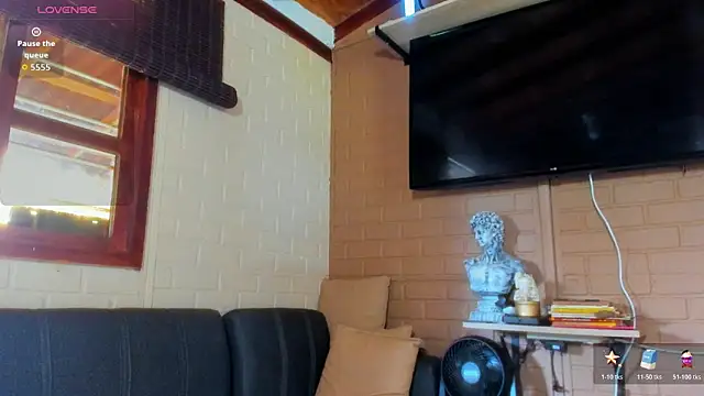 fitnolan webcam