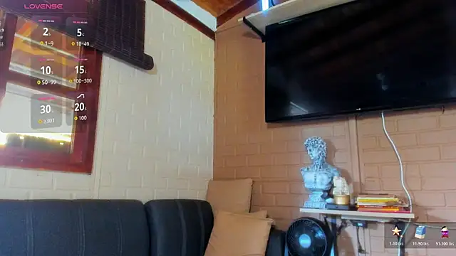 fitnolan webcam