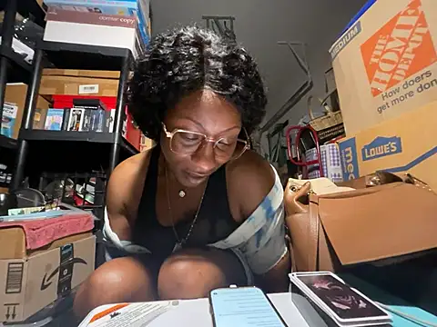 wynterheat webcam