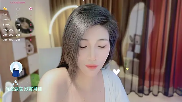 Vaidurya-Yolo webcam