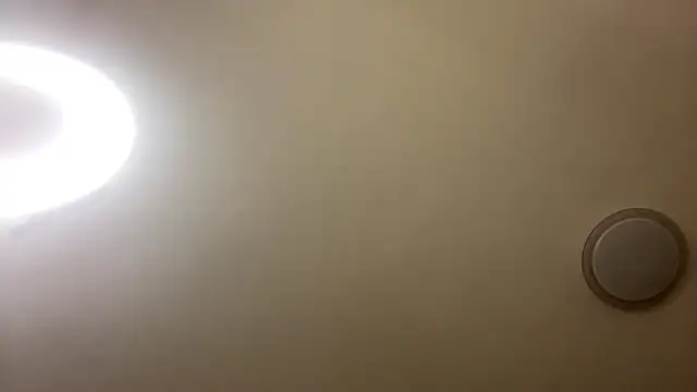 lorymusetti's live room