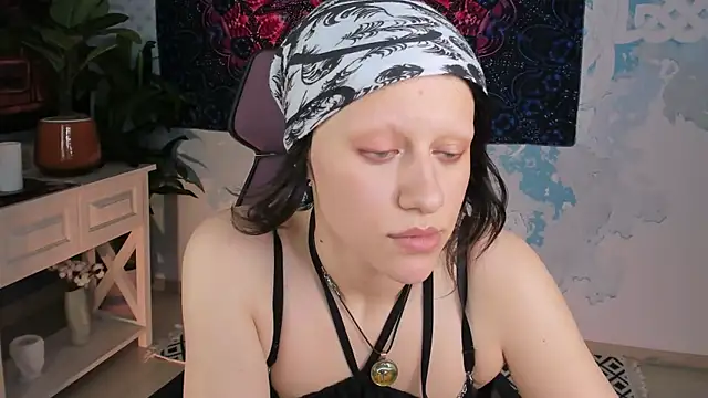 LidaDarknet webcam