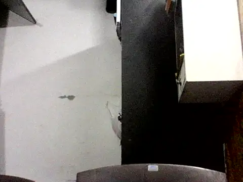 Fuckpussylickass webcam