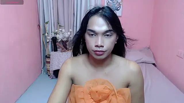 Herbielustts webcam