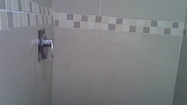 CurvySnowflakes webcam