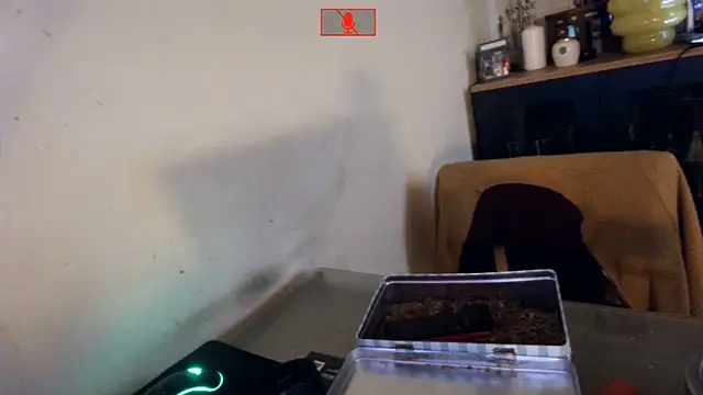 Hgay6935 webcam