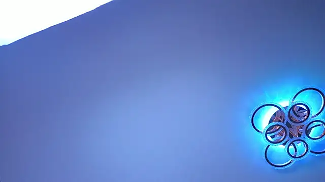 PerryKitty webcam