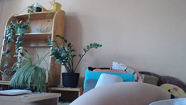 Dorina webcam