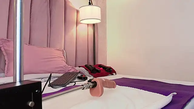 HallyBans webcam