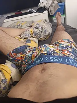 BigY690 webcam