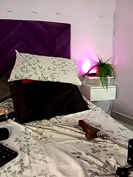 haileystone webcam