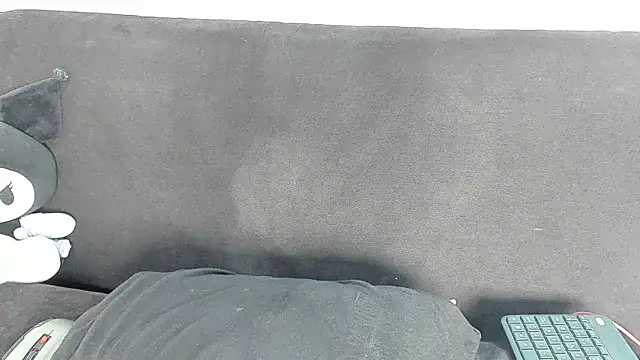 Eirlysx webcam