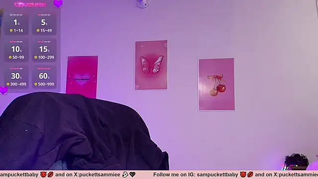 Sampuckettbaby webcam