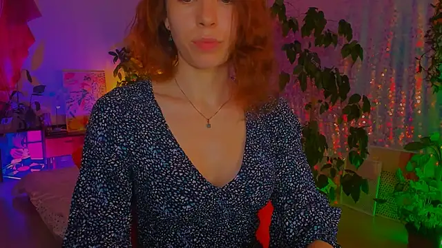 poli__ webcam